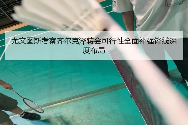 尤文图斯考察齐尔克泽转会可行性全面补强锋线深度布局