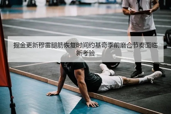 掘金更新穆雷腿筋恢复时间约基奇季前磨合节奏面临新考验